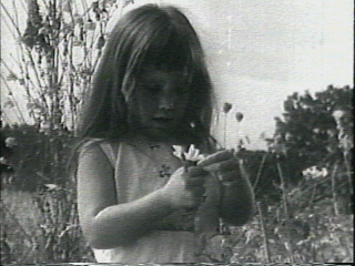 1964-daisy